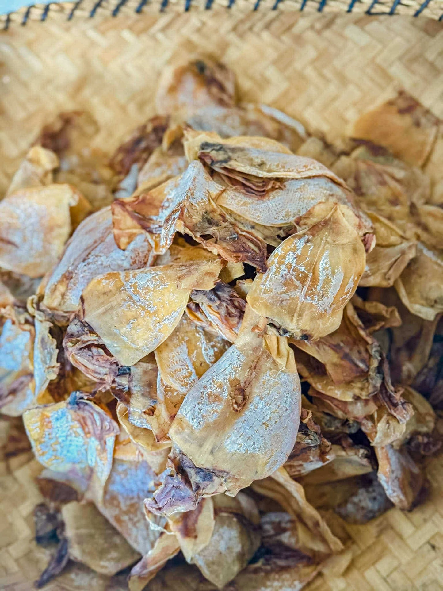 Dried Regular Pusit