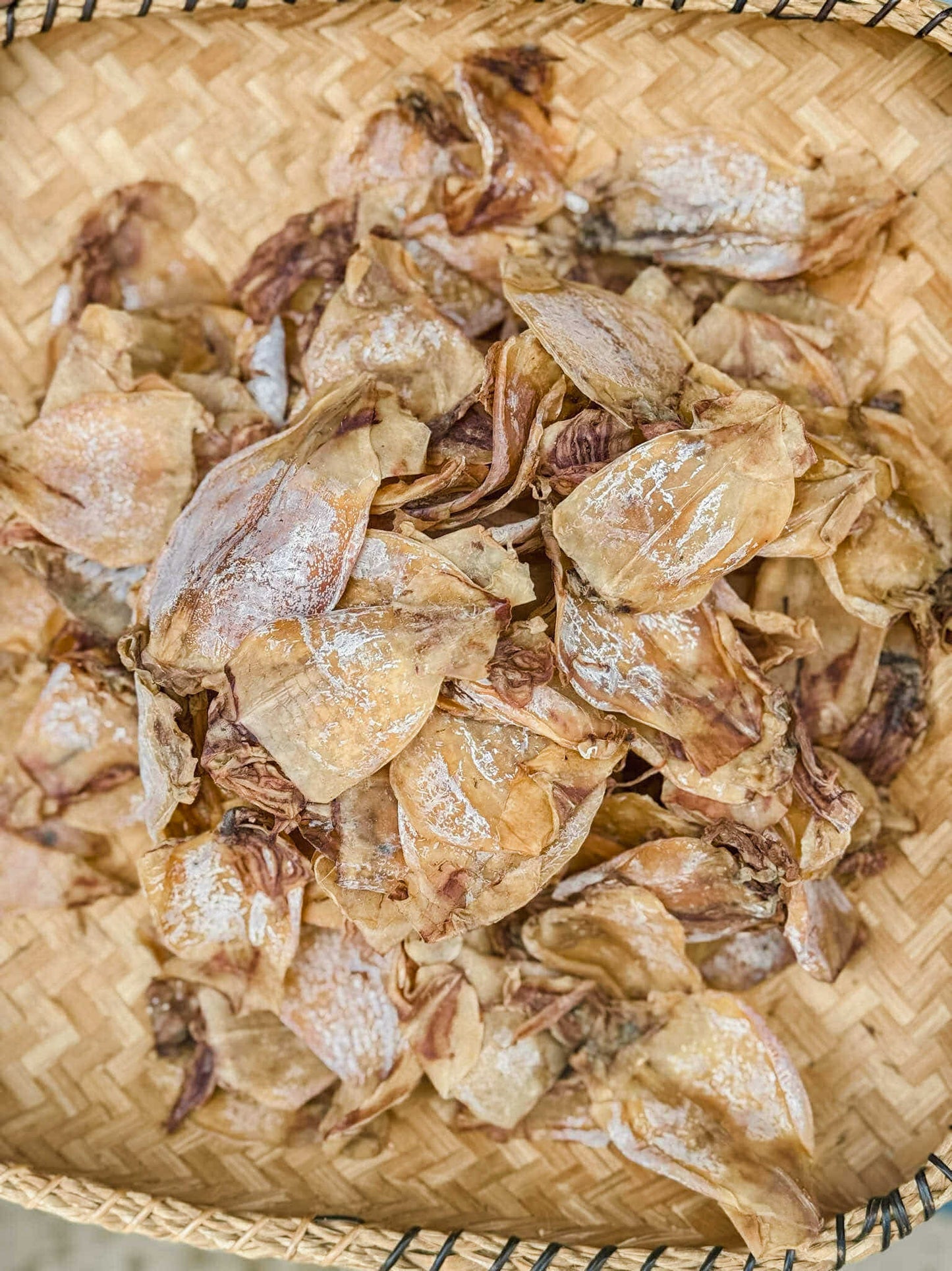 Dried Regular Pusit